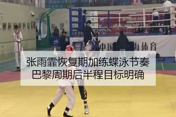 张雨霏恢复期加练蝶泳节奏 巴黎周期后半程目标明确